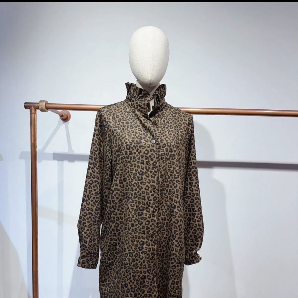 Robe velours imprimé léopard Hectorine