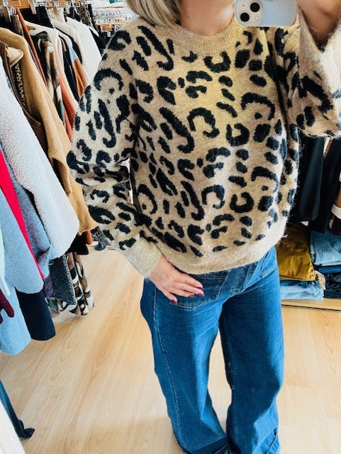 Pull imprimé léopard Sacha